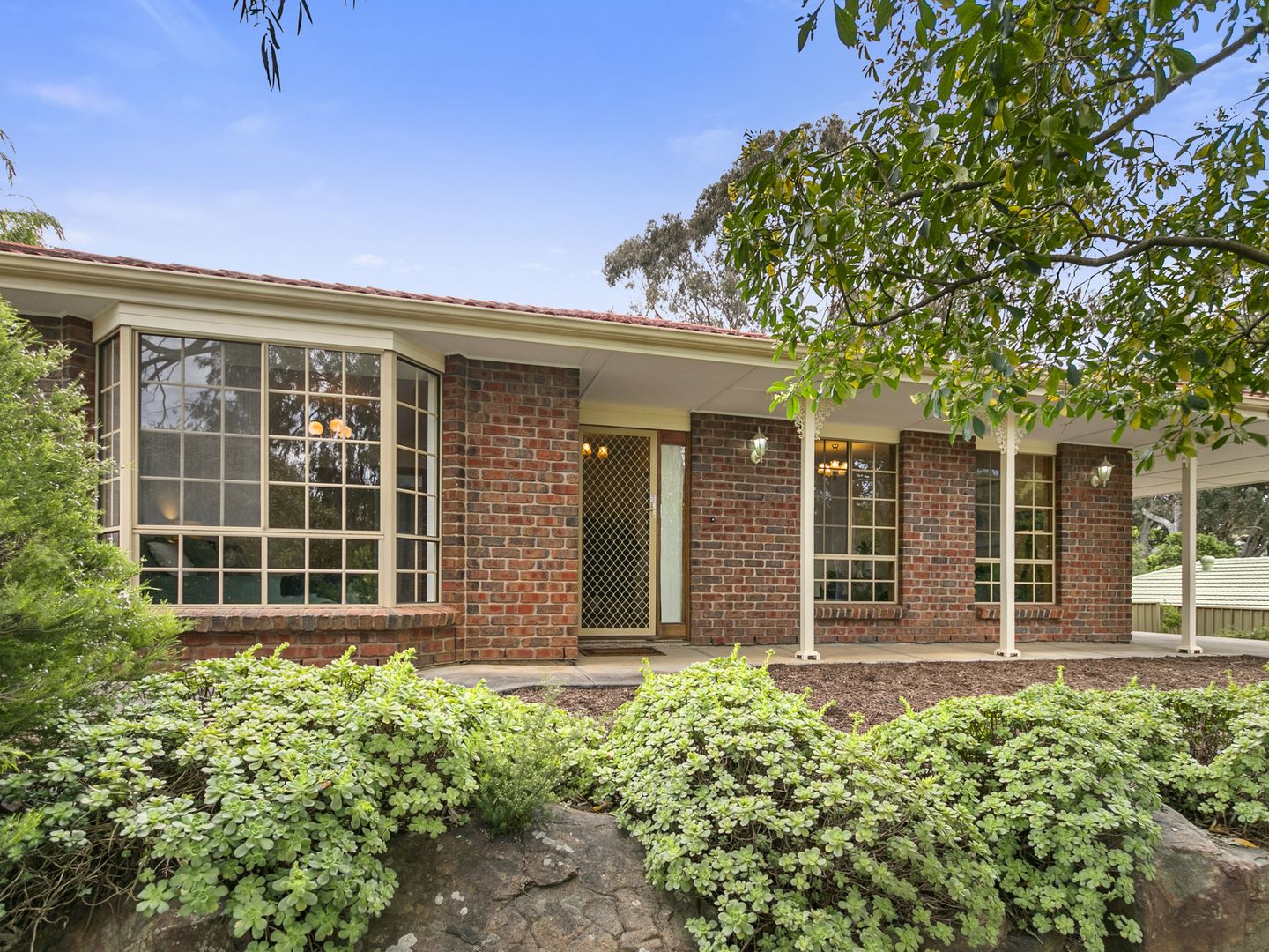 11 Springwood Court, Aberfoyle Park SA 5159, Image 1