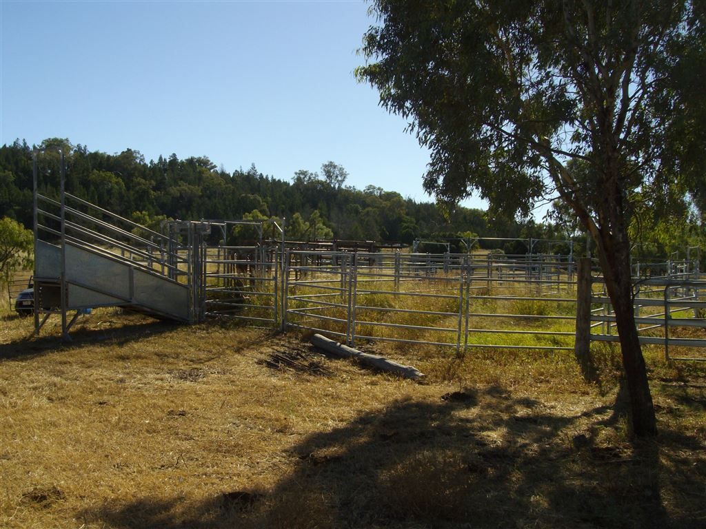Lot 204 Rossvale West Rd, Pittsworth QLD 4356, Image 2