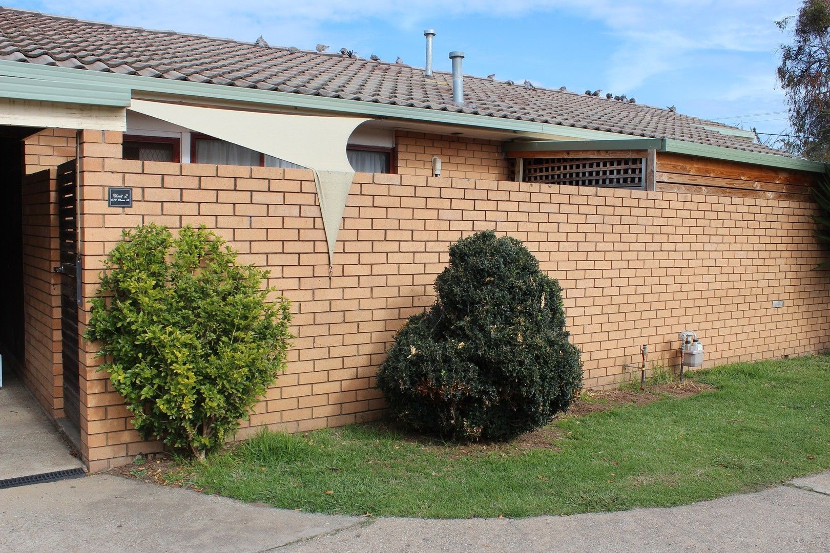 2 bedrooms Apartment / Unit / Flat in 2/610 Prune Street LAVINGTON NSW, 2641