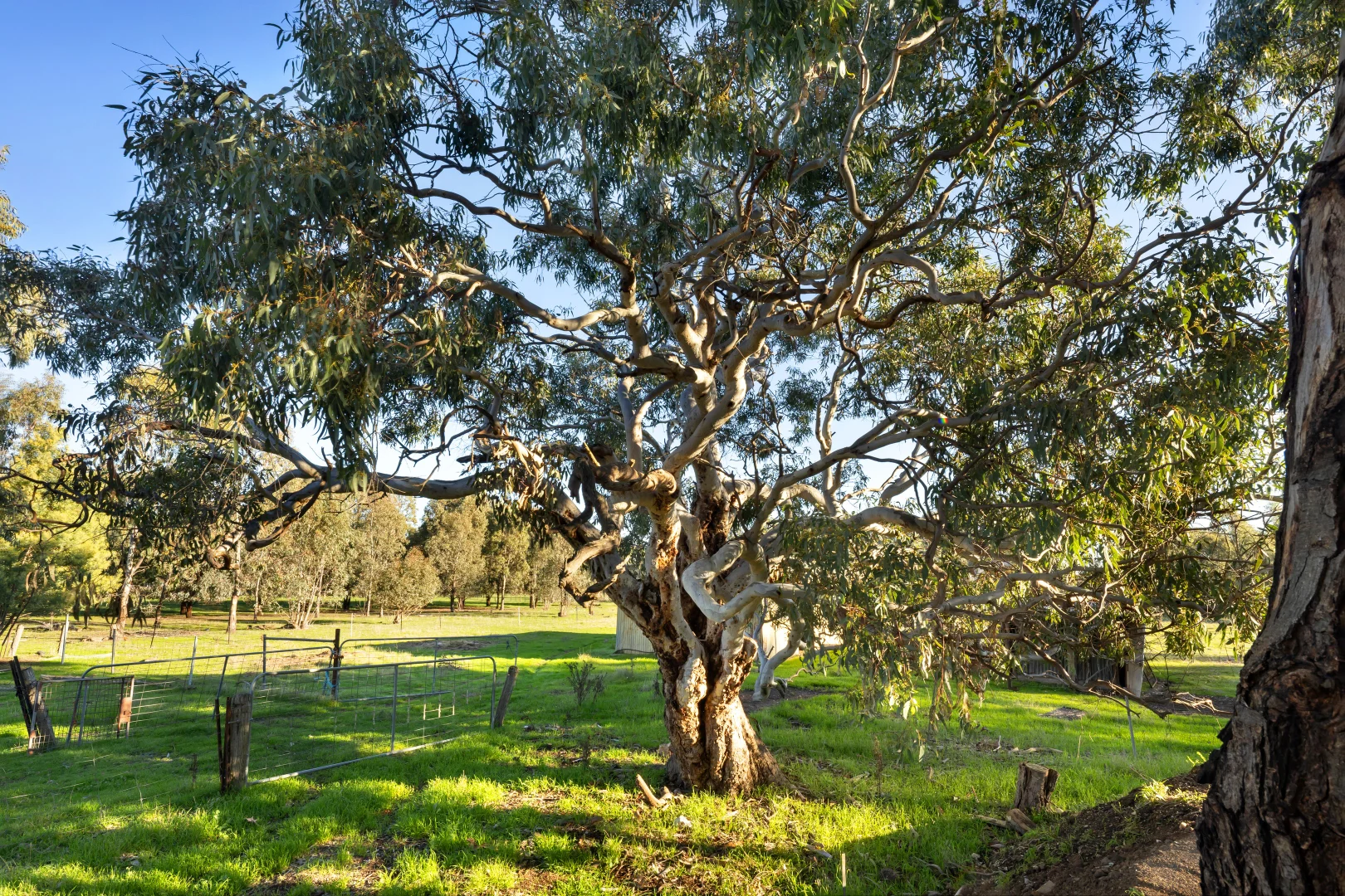 Image 15