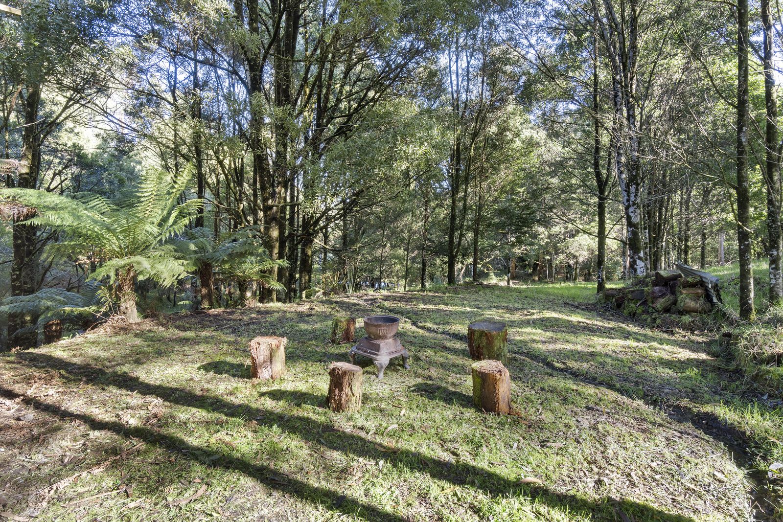 30 Dehnerts Track, Beech Forest VIC 3237, Image 0