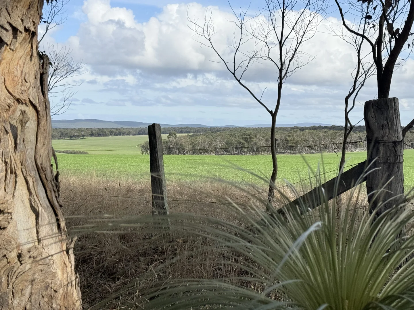 Image 10