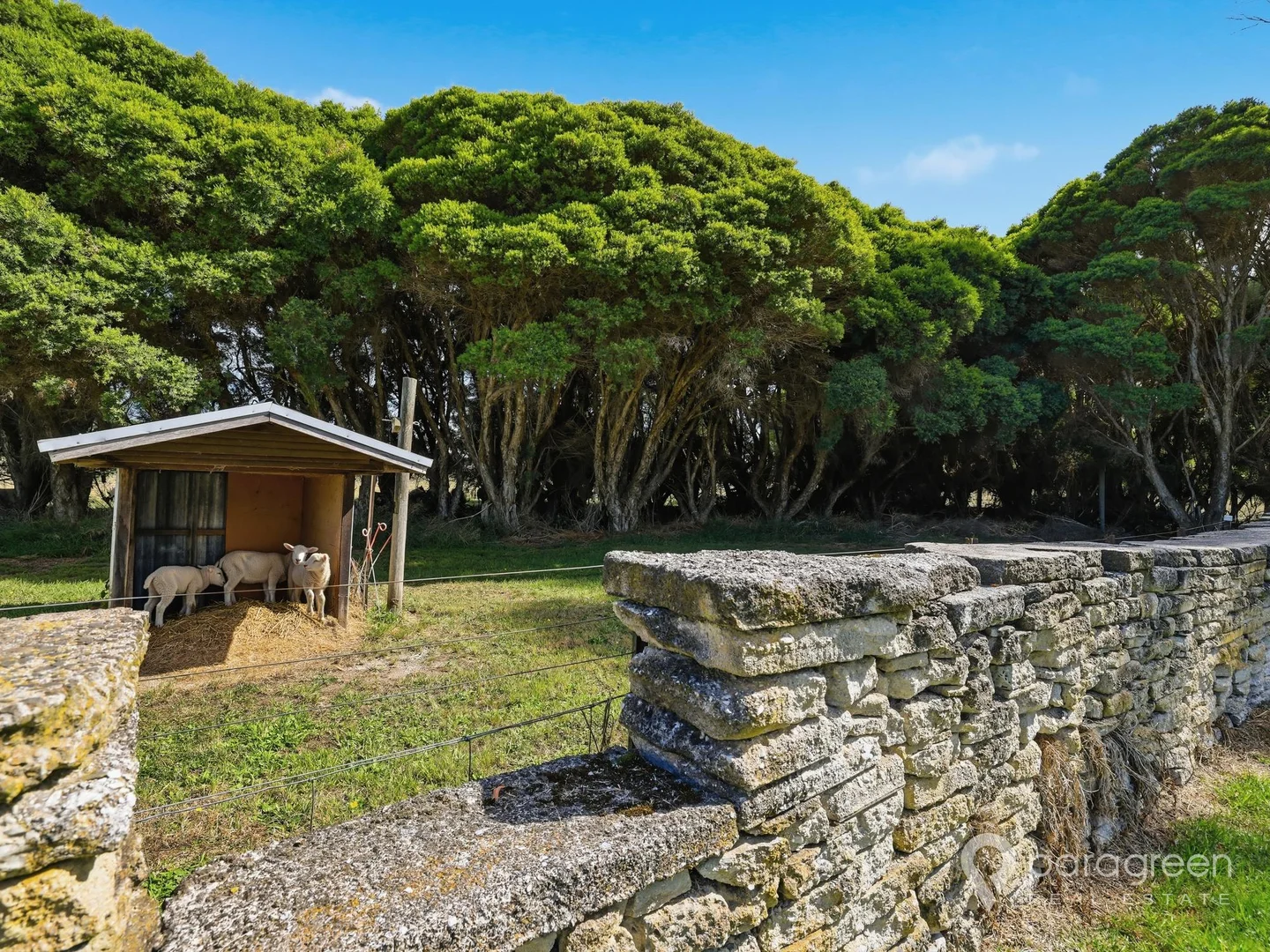 Additional image 19 of 230 Lower Franklin Road, Foster VIC 3960