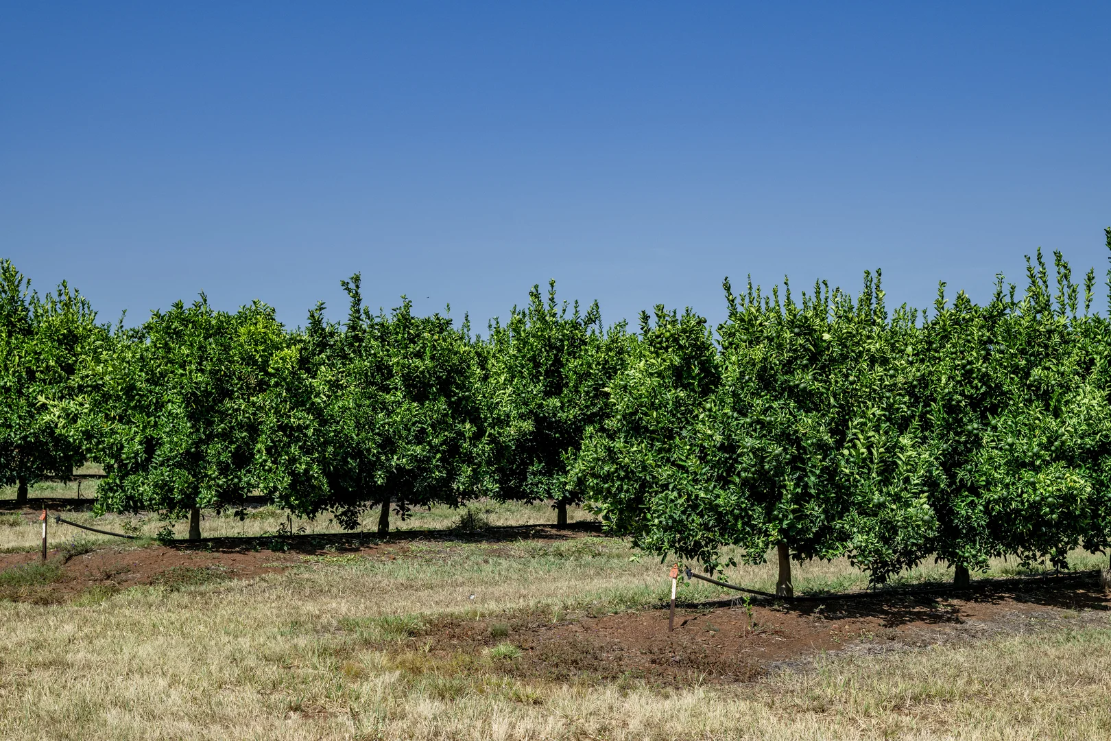 Additional image 5 of Lot 85 Glenrae Dip Road, Boynewood QLD 4626