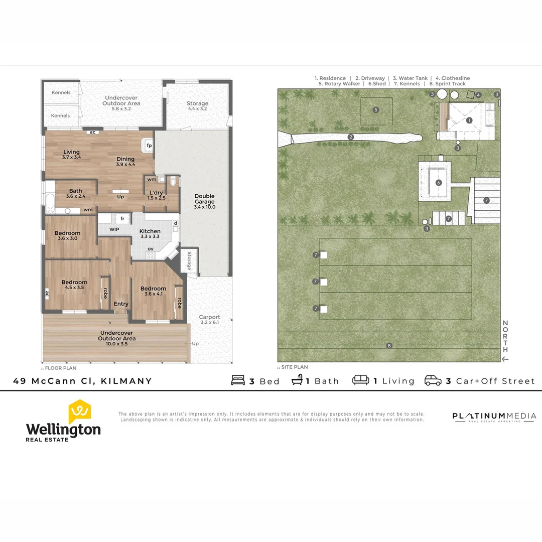 Image 13