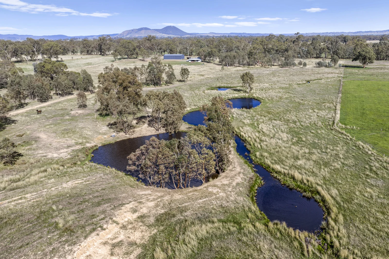 Additional image 12 of 100 Dueran Lane, Mansfield VIC 3722