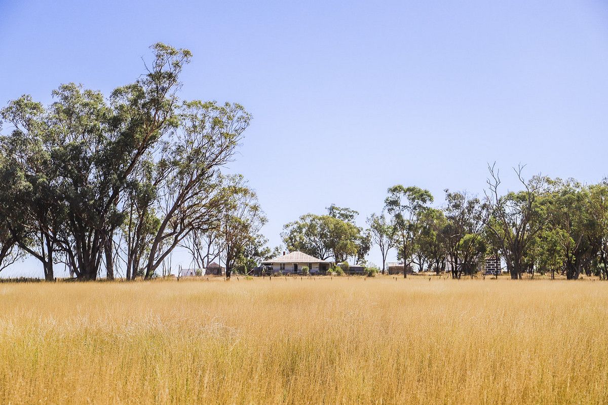 142 Sawpit Creek Road, Gunnedah NSW 2380, Image 0