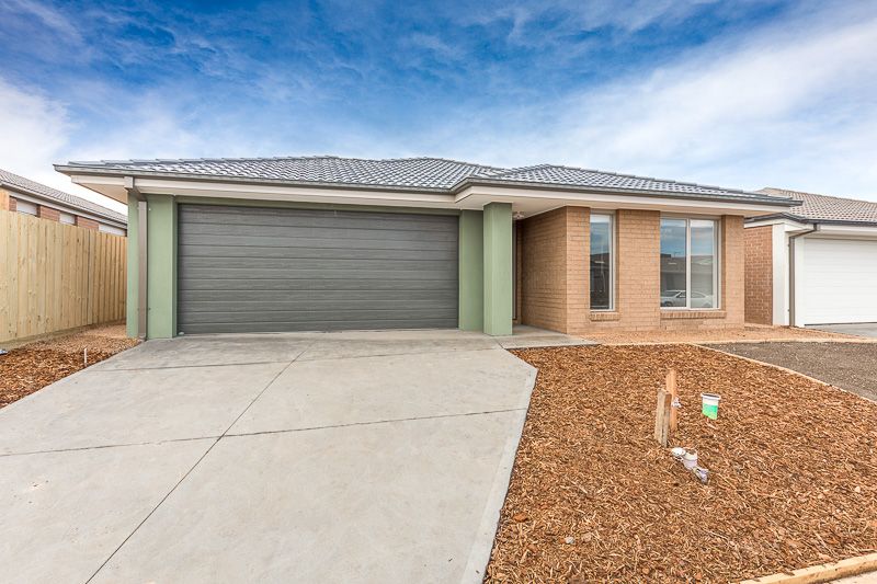 56 Arkins Circuit, Tarneit VIC 3029