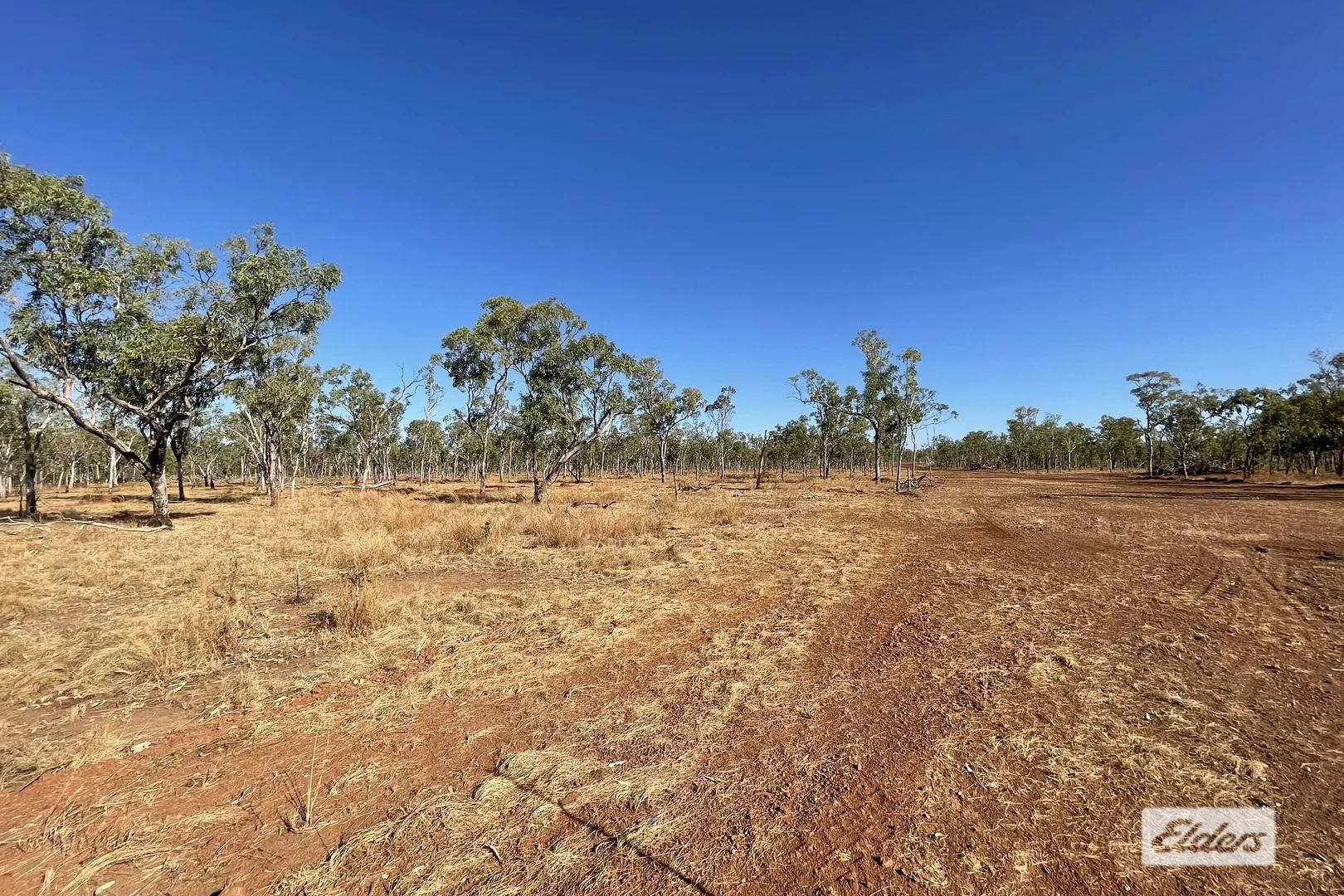 Image 13