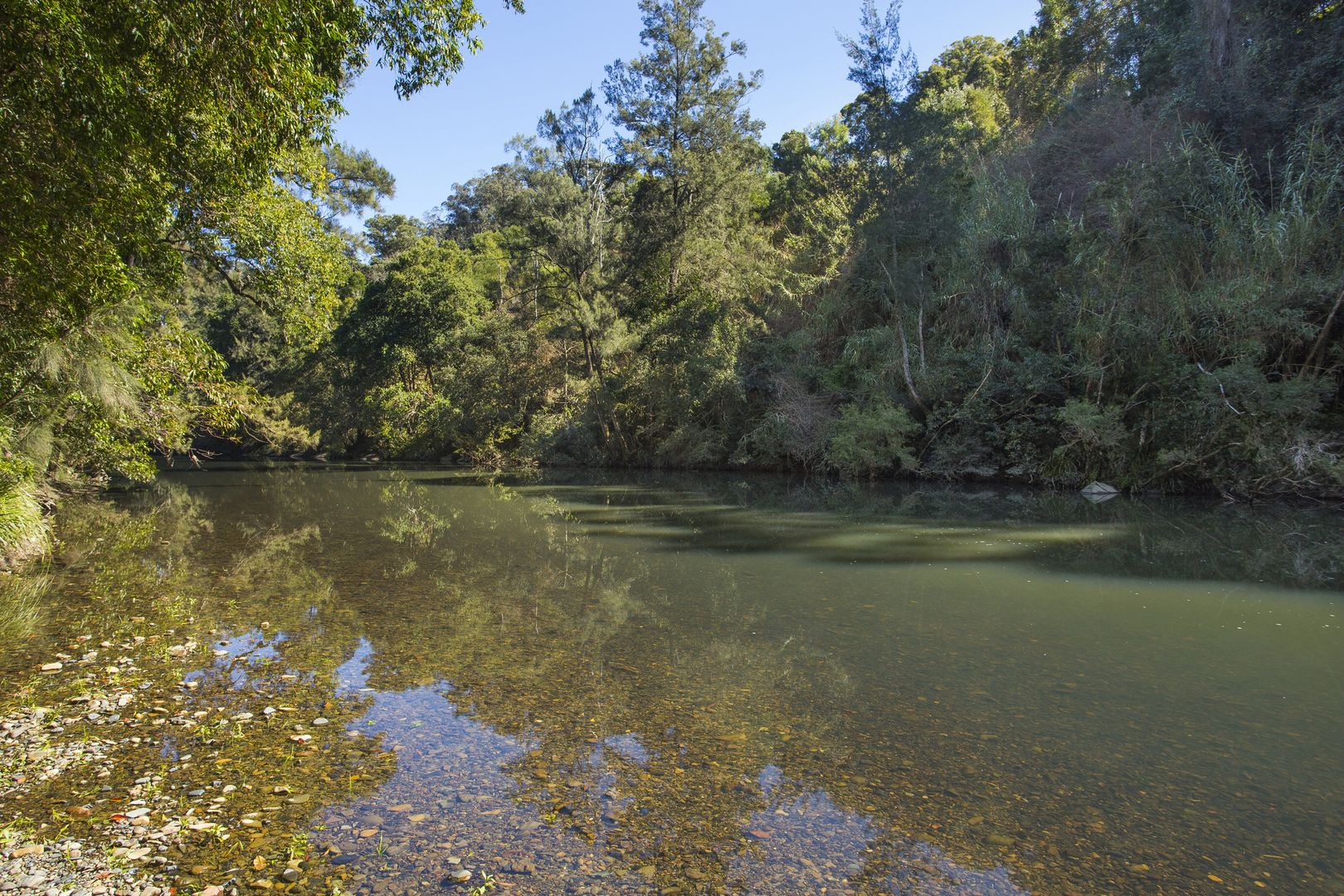 Lots 1-3 DP1103694 EP30785, Dungog NSW 2420, Image 1