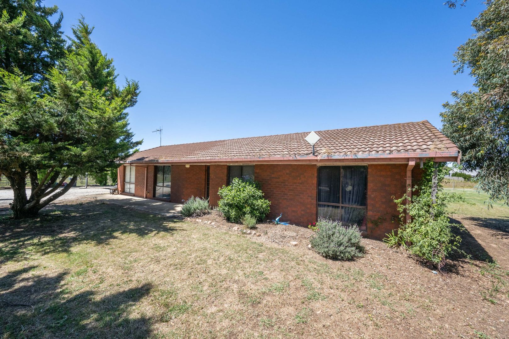 50 Swainston Road, Shepparton East VIC 3631, Image 2