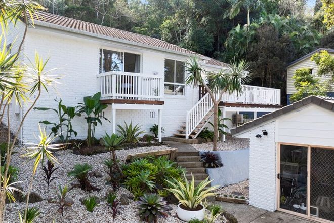 Picture of 9 Fig Court, BUDERIM QLD 4556