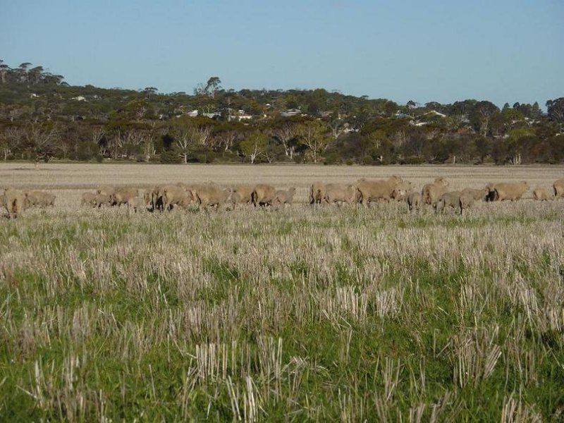 Corrigin WA 6375, Image 0