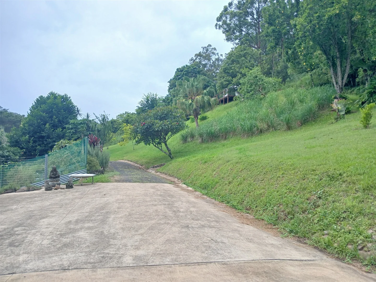 Image 13