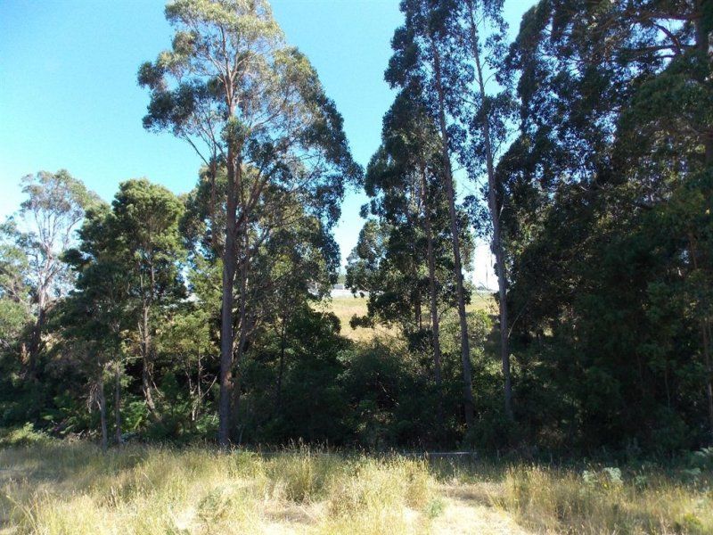 Lot 4 Hardys Road, Penguin TAS 7316, Image 1