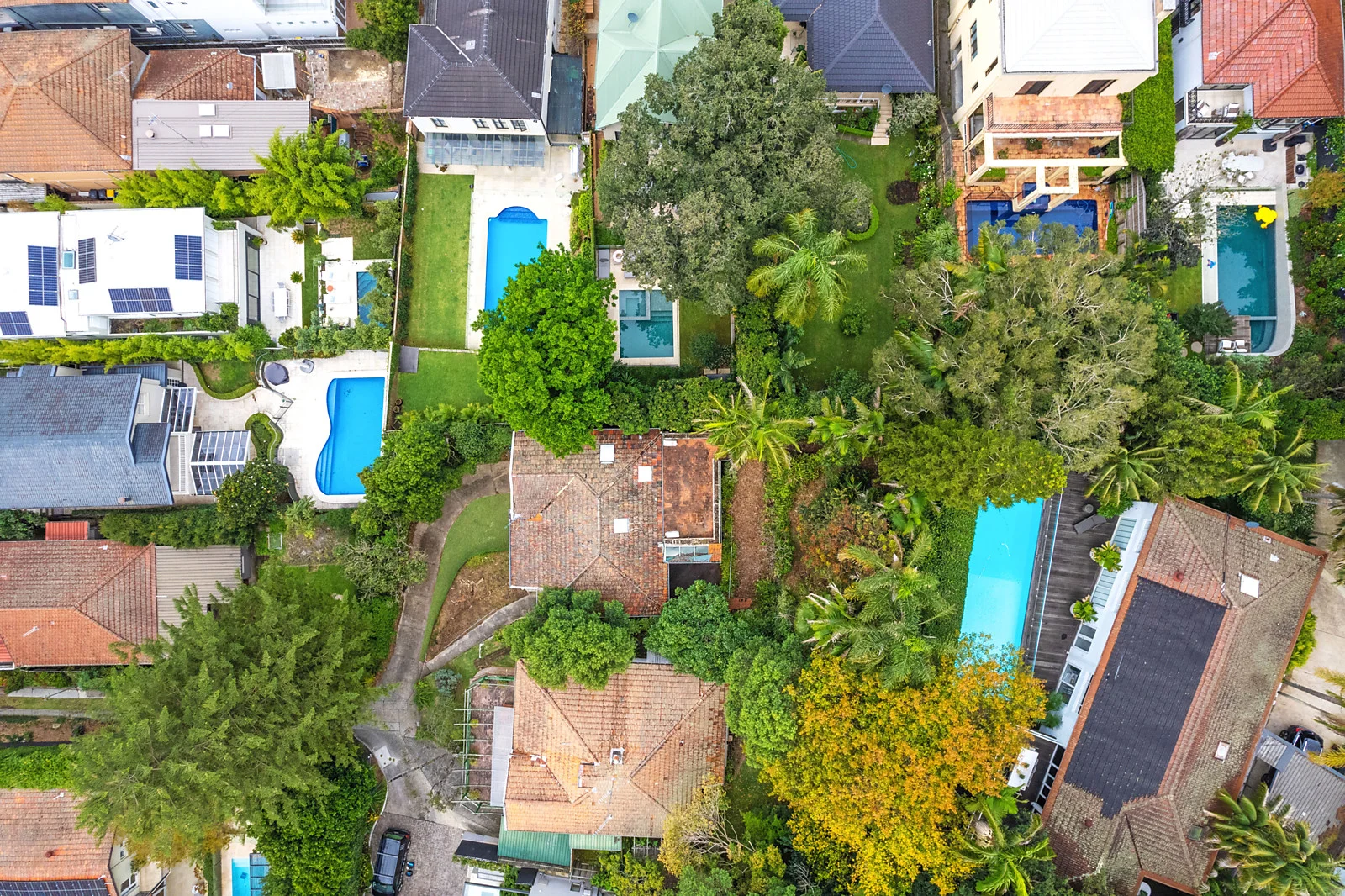 Additional image 15 of 115 Manning Road, Woollahra NSW 2025