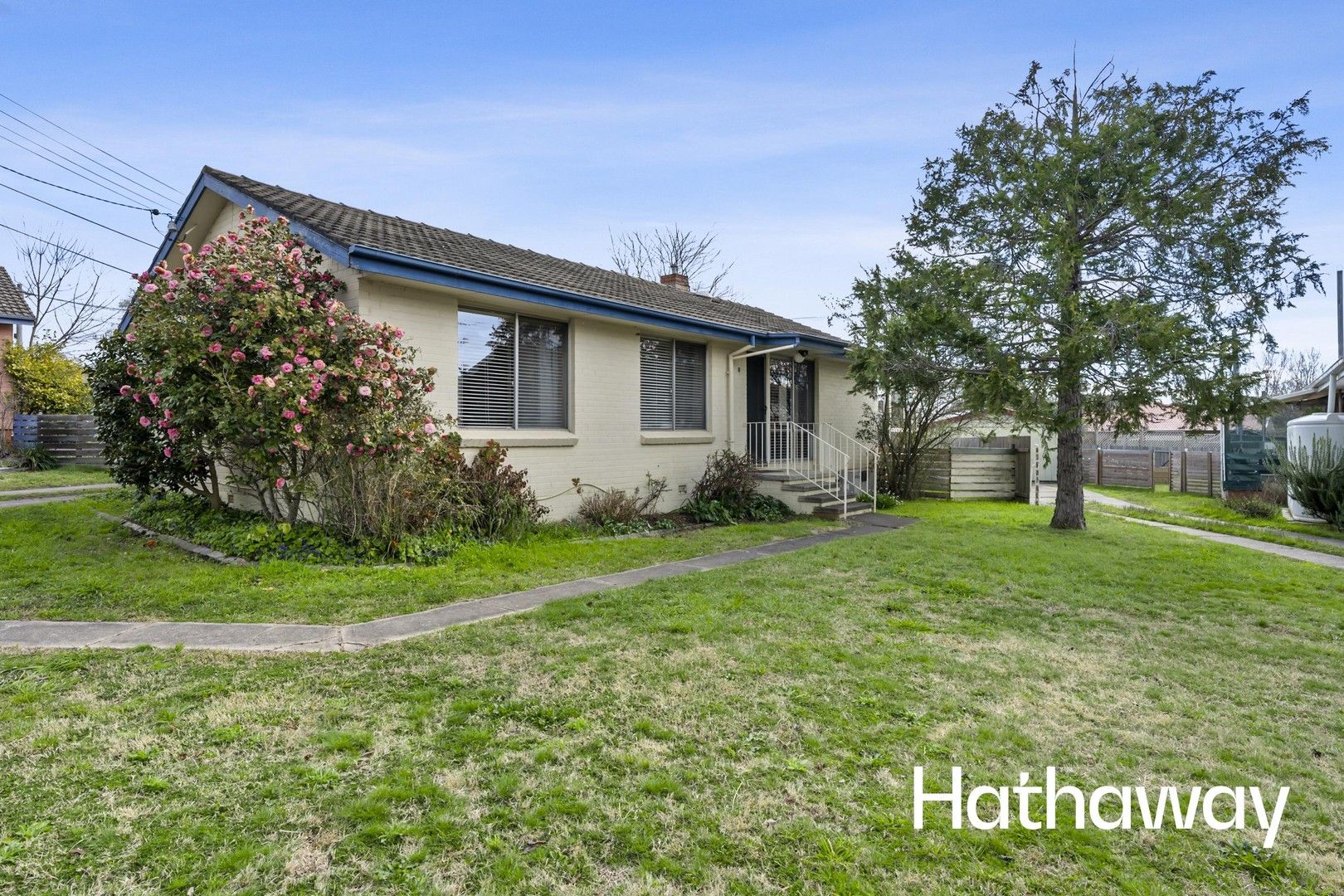 5 Verran Place, Curtin ACT 2605 House For Rent Domain