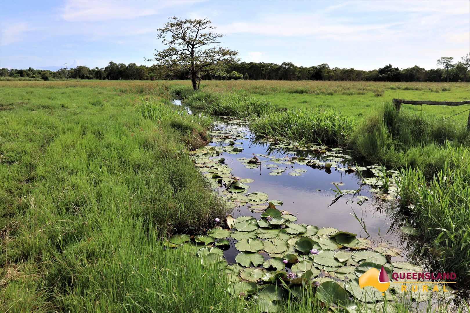 1353 Bramston Beach Road, Bramston Beach QLD 4871 House for Sale