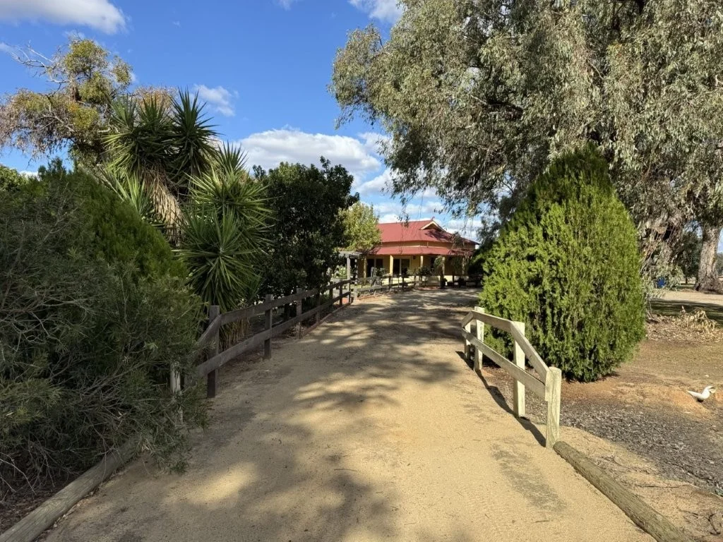 Image 18
