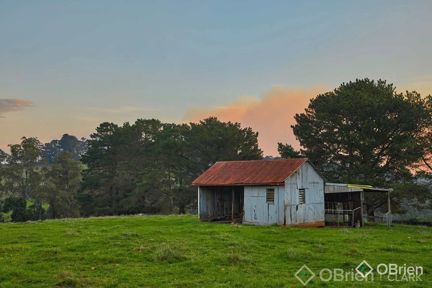 Image 15
