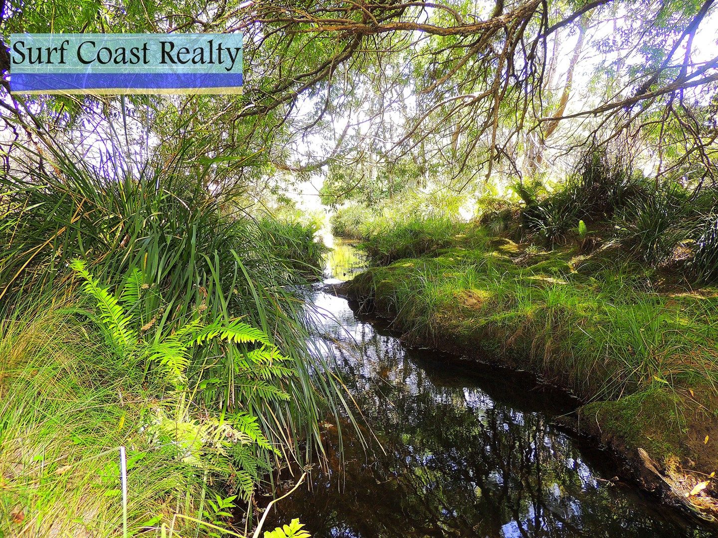 520 Elephant Pass Road, St Marys TAS 7215, Image 0