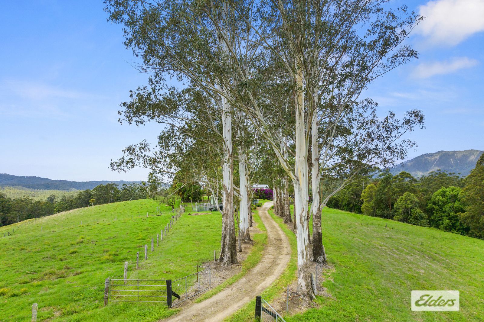 49 Pine Log Road, Doon Doon NSW 2484 House for Sale Domain