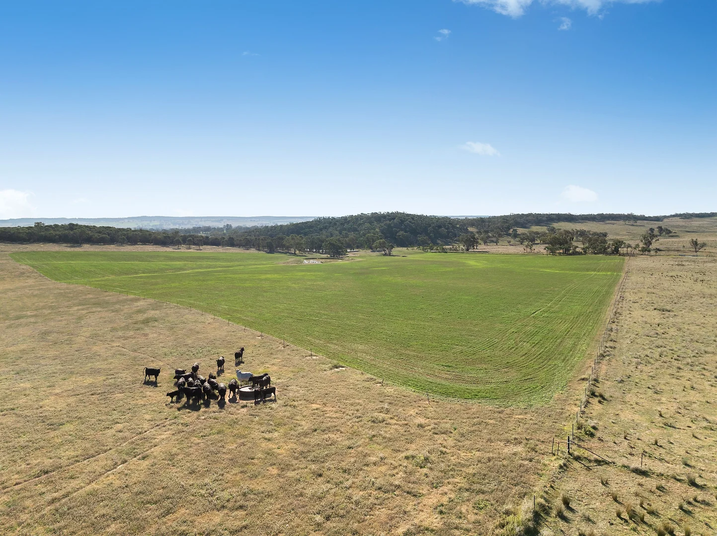 Additional image 12 of 837 Packham Drive, Molong NSW 2866