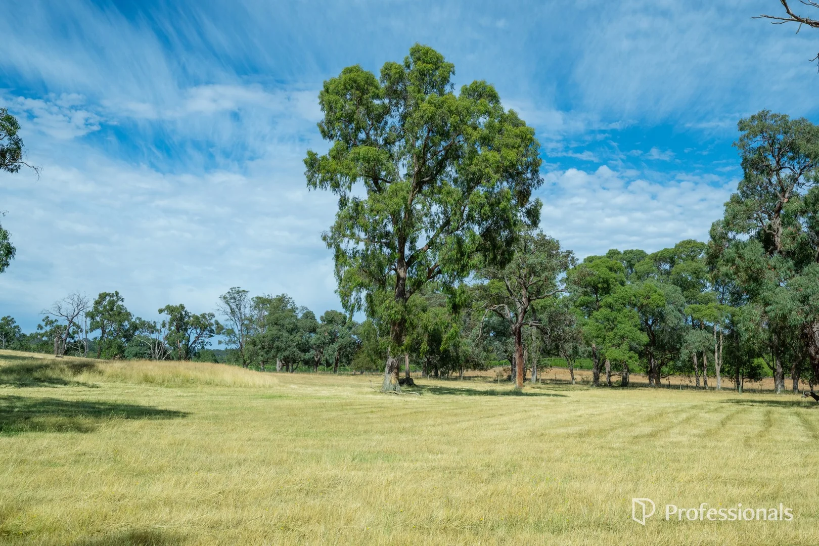 Image 25