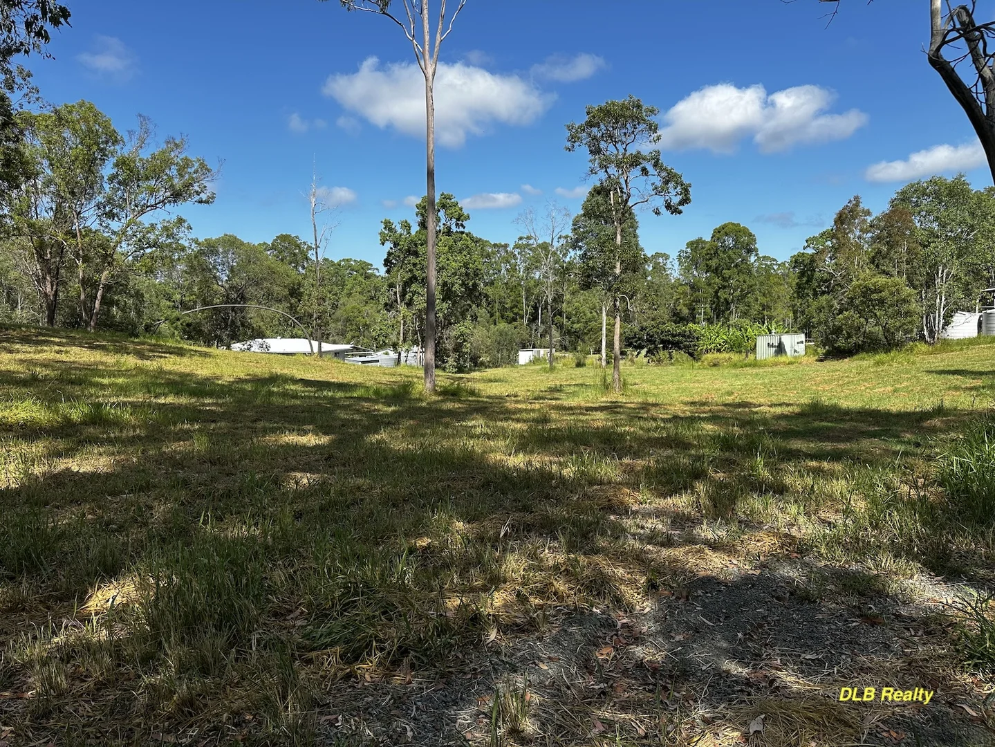 Image 13