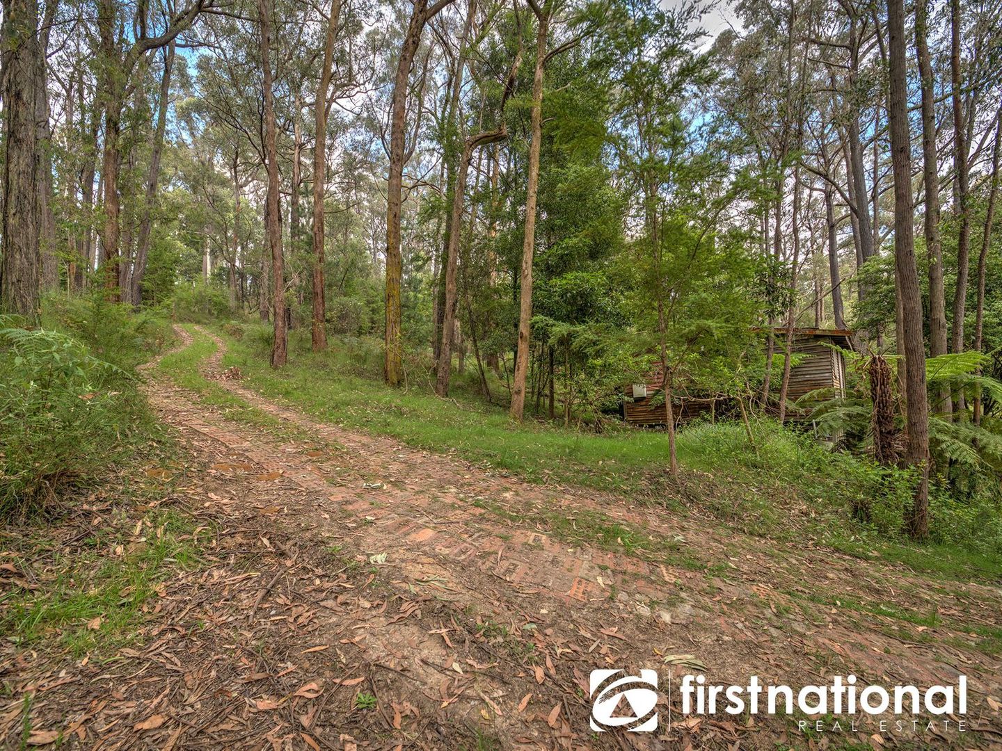 420 Mt Eirene Road, Gembrook VIC 3783, Image 1