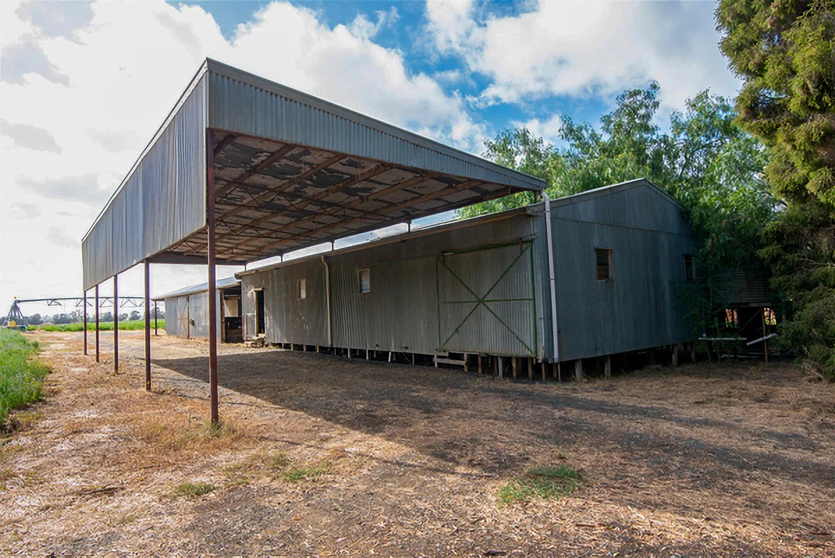 Image 4