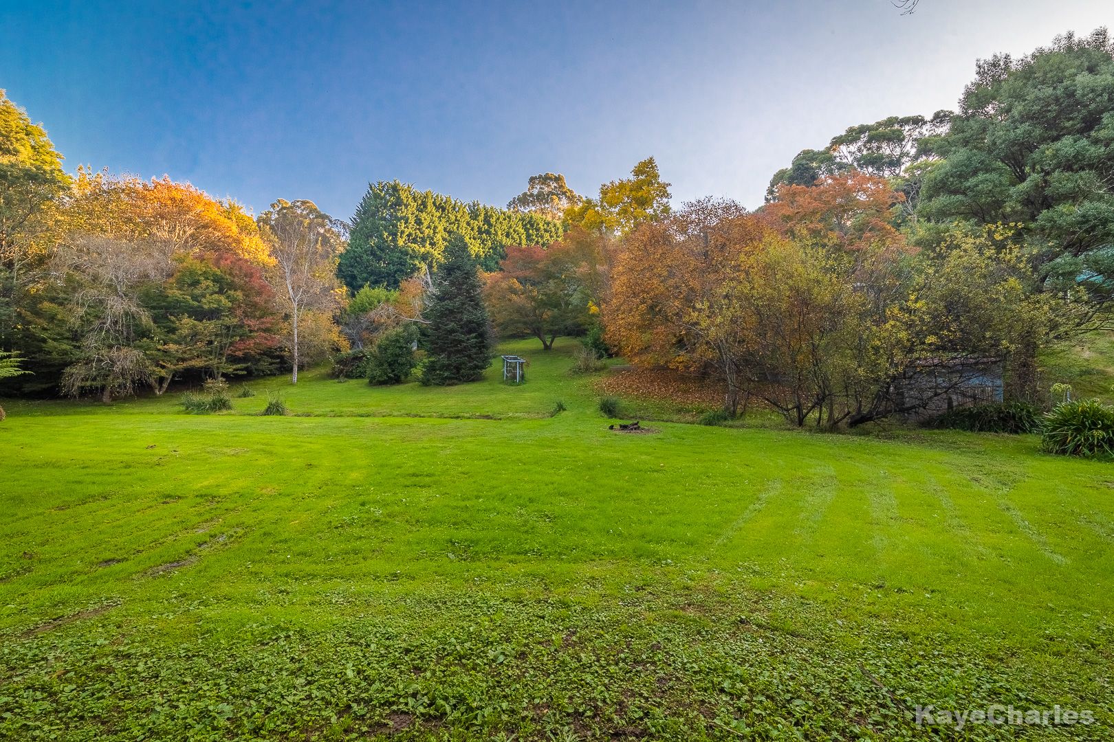 231 Belgrave-Gembrook Road, Menzies Creek VIC 3159, Image 1