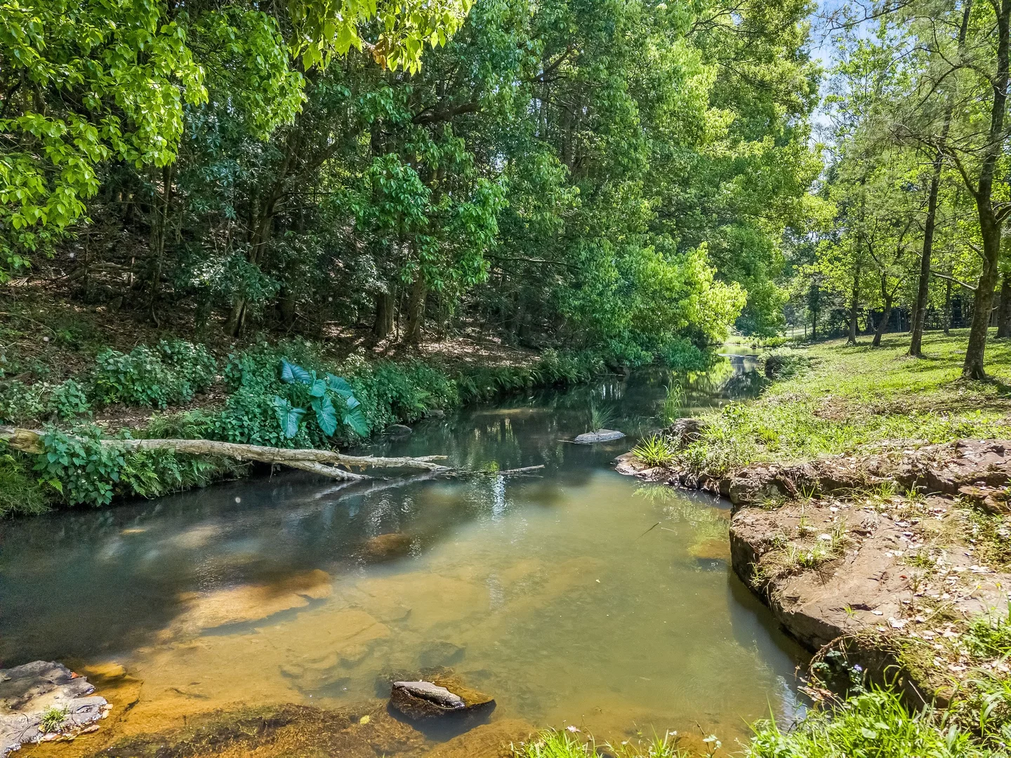 Additional image 28 of 377 Pearces Creek Road, Alstonvale NSW 2477