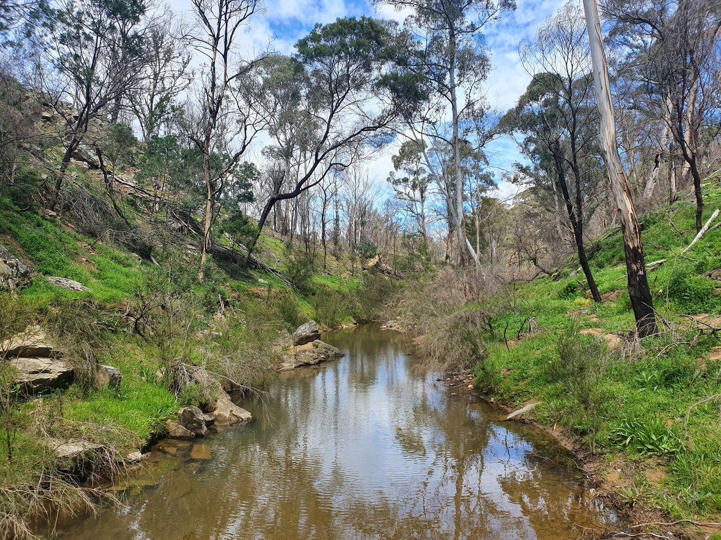 Lot 19 Ningee Nimble Creek Road, Tomboye, Braidwood NSW 2622, Image 0