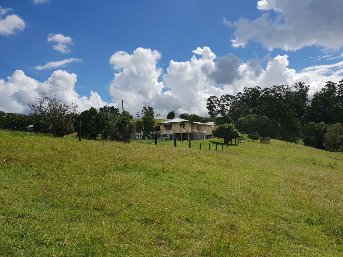 54 White Cedar Place, West Woombye QLD 4559