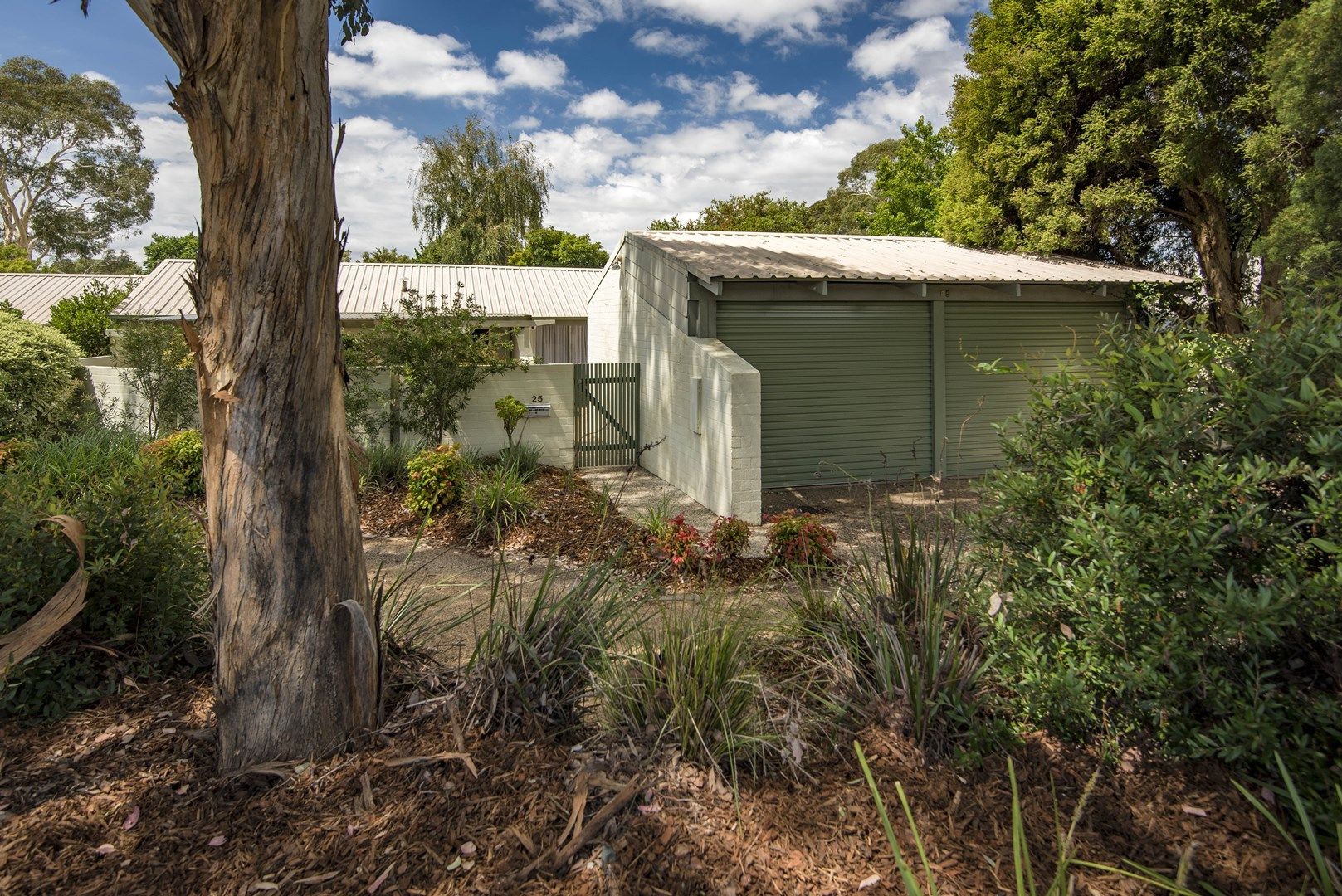 25 Pethebridge Street, Pearce ACT 2607, Image 0