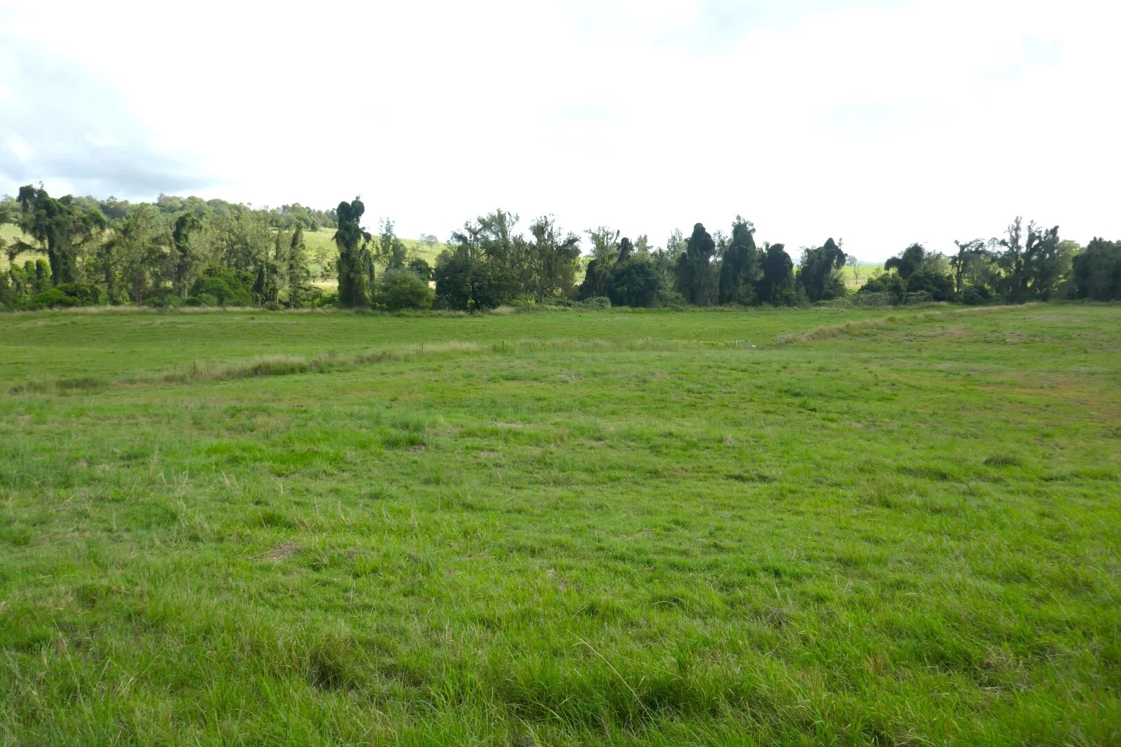 Image 13