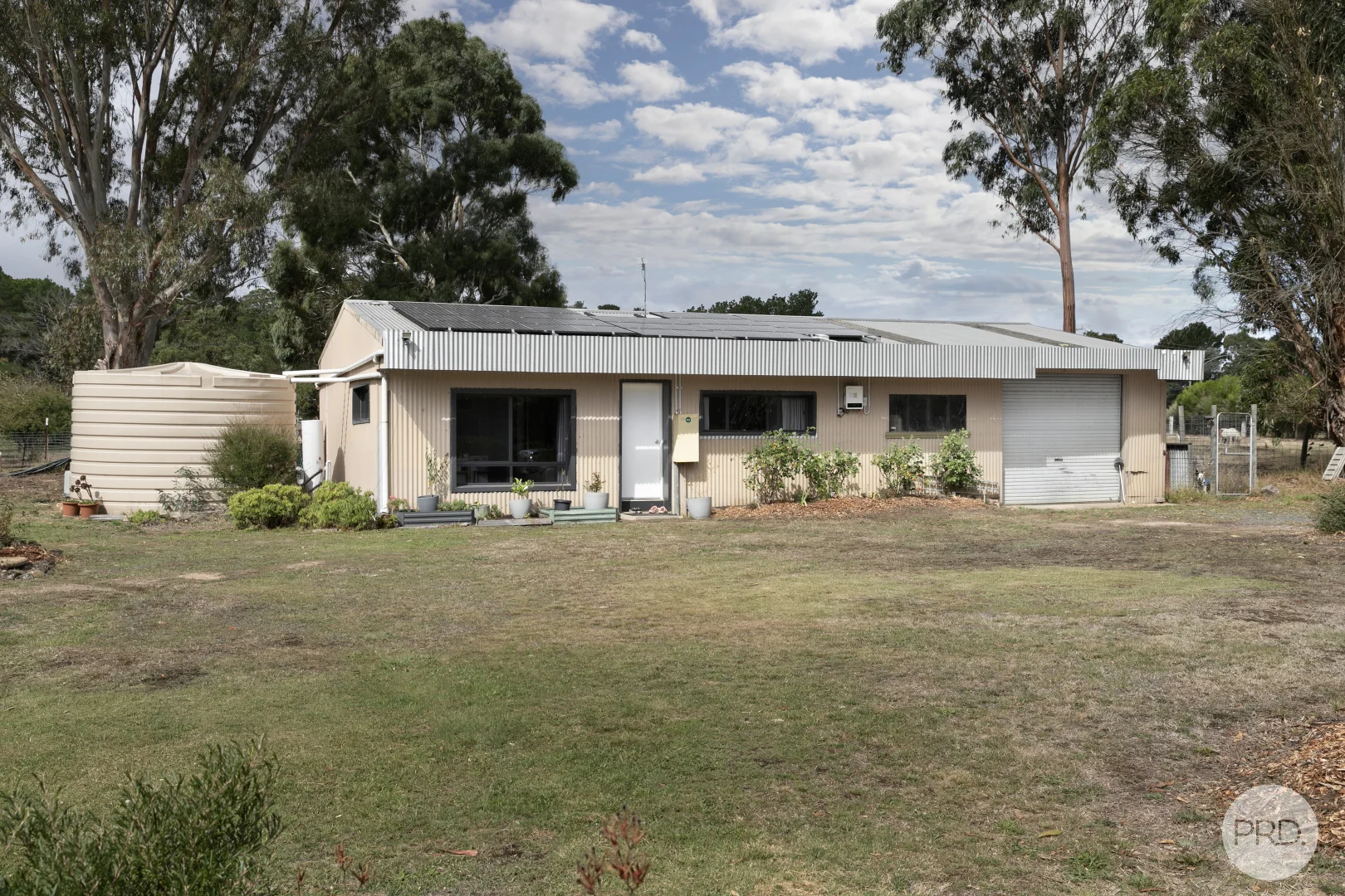 Image 12