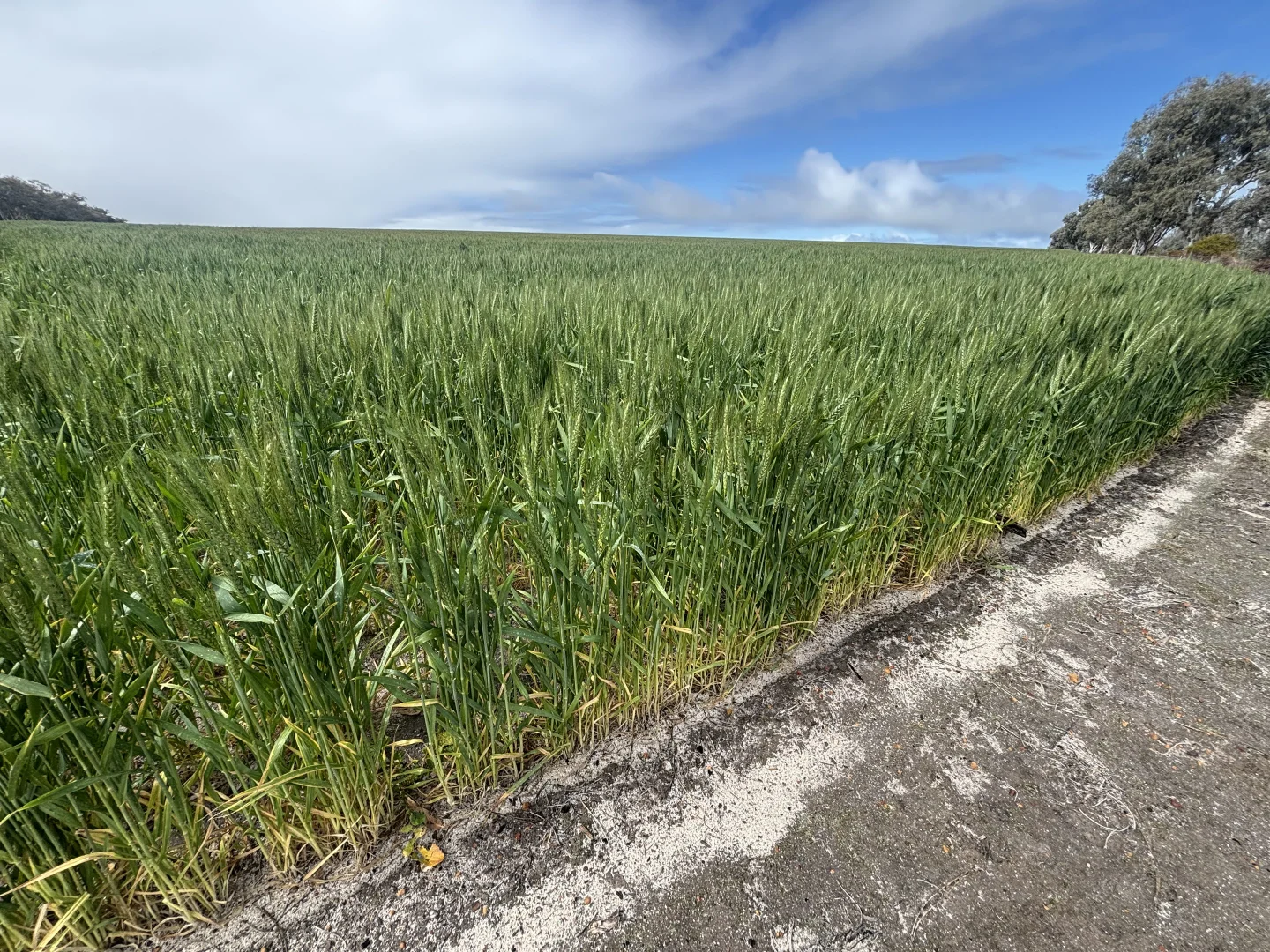 Image 24
