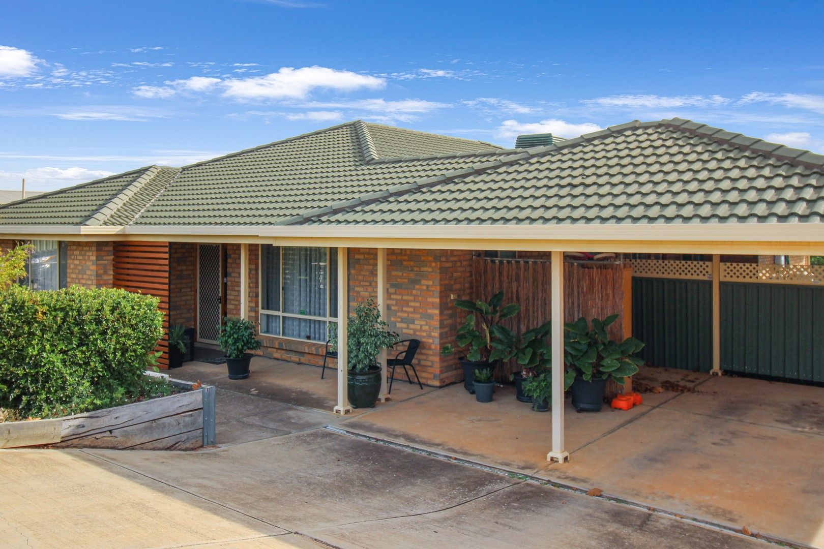 3 Edwards Crescent, Waikerie SA 5330, Image 0