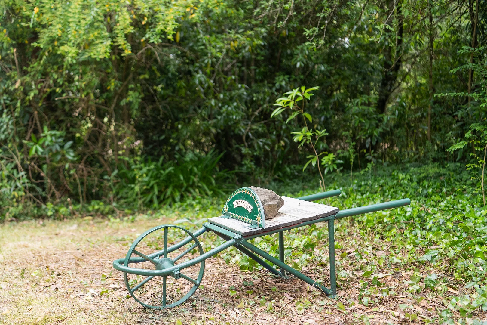 Image 14
