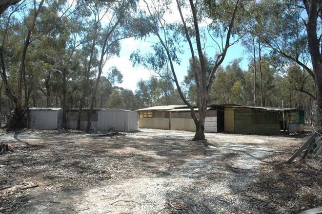 Picture of 583 Maryborough-Dunolly Road, HAVELOCK VIC 3465