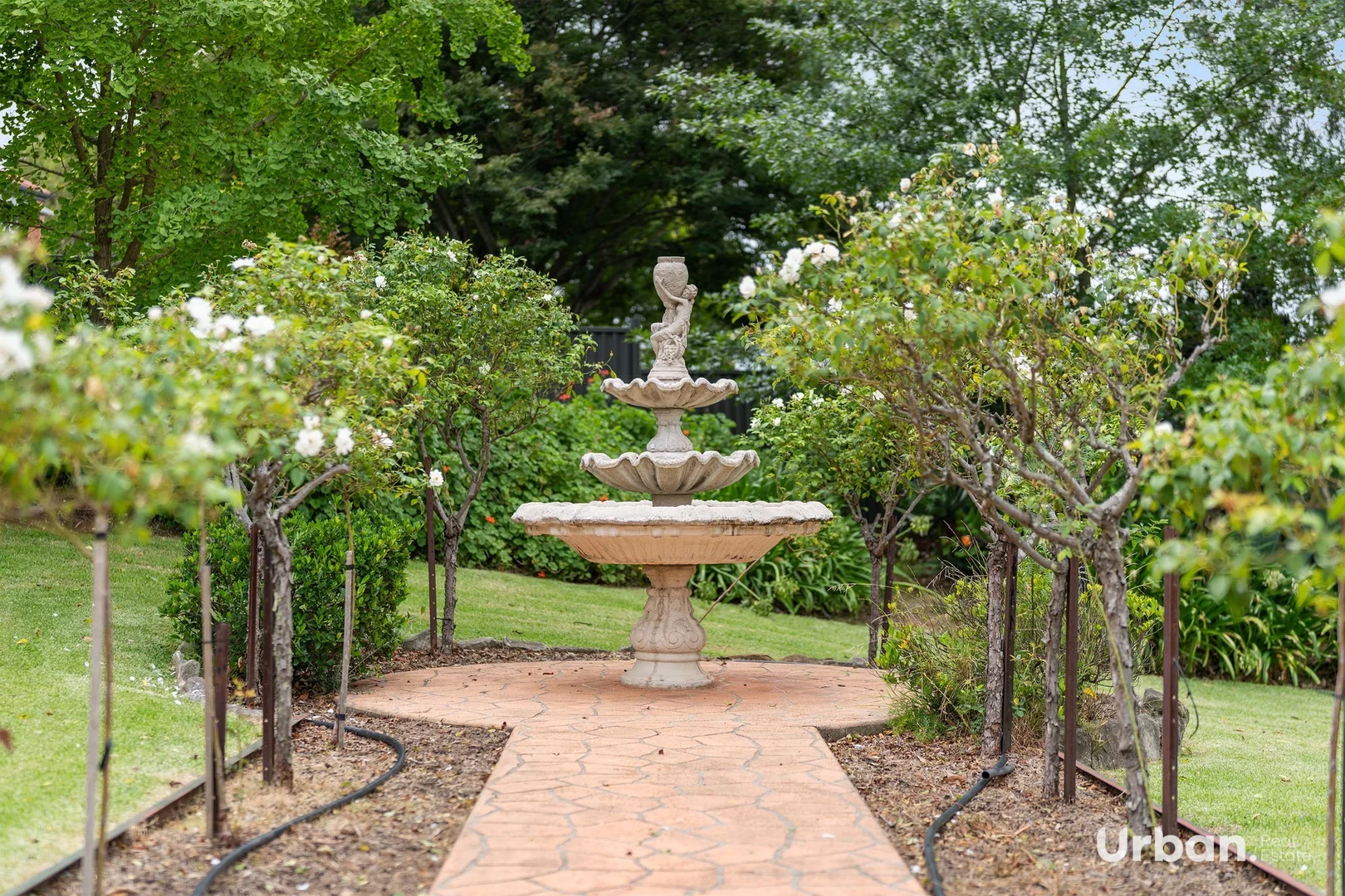Image 16