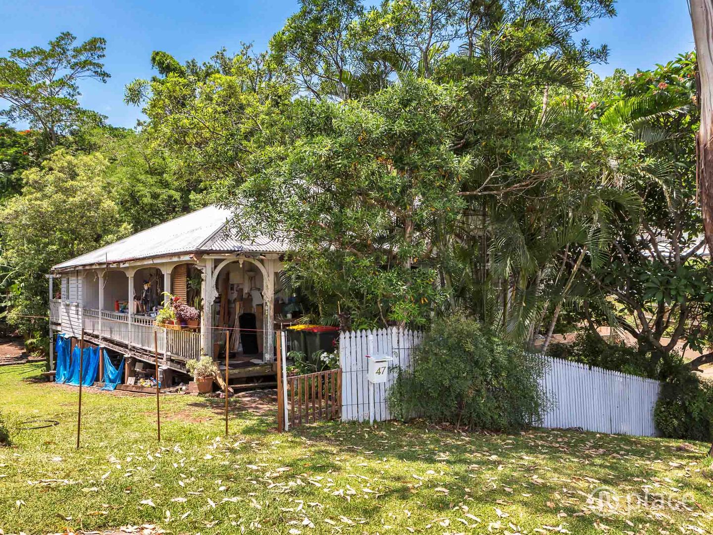 47 Munro Street, Auchenflower QLD 4066, Image 2