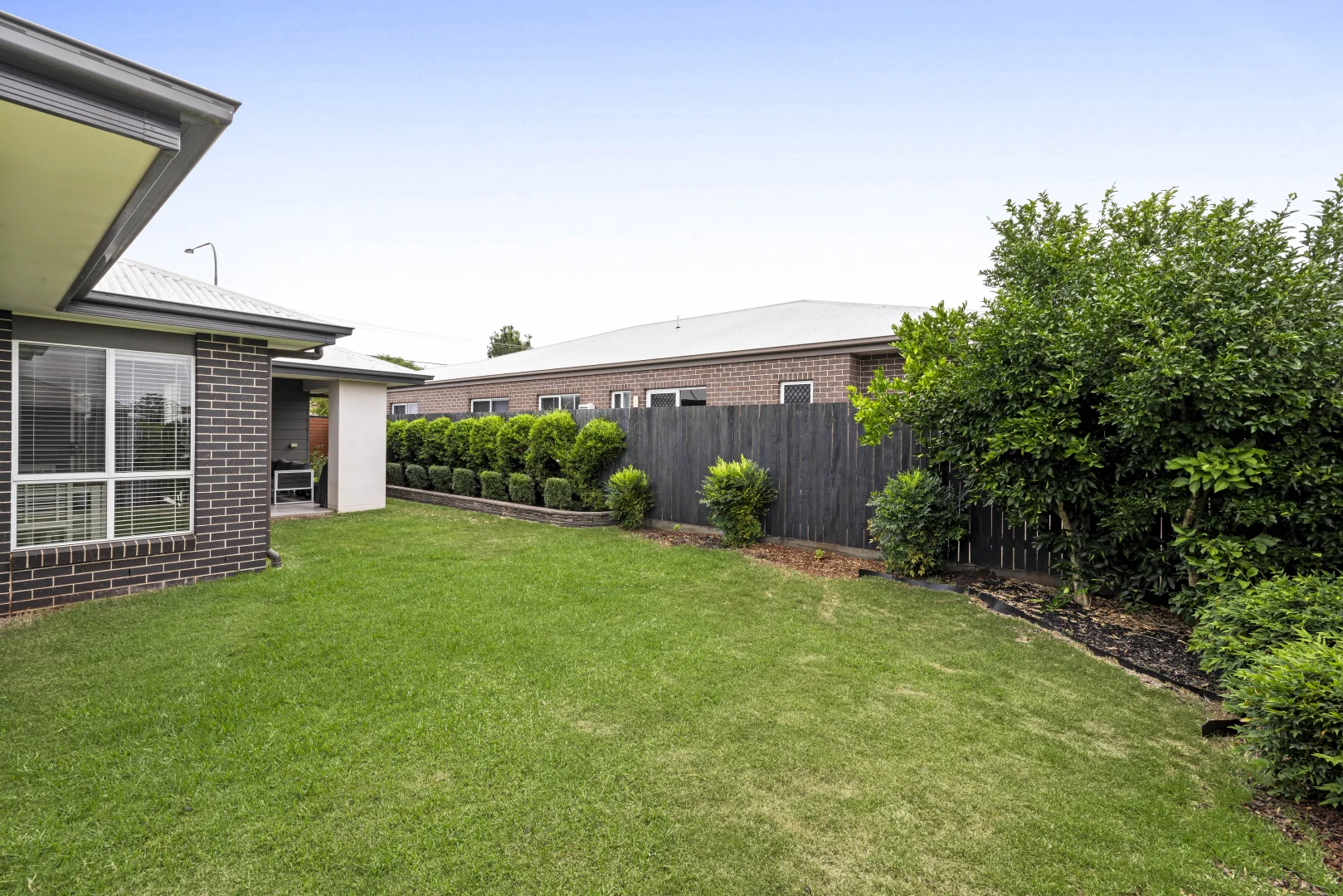 Image 19