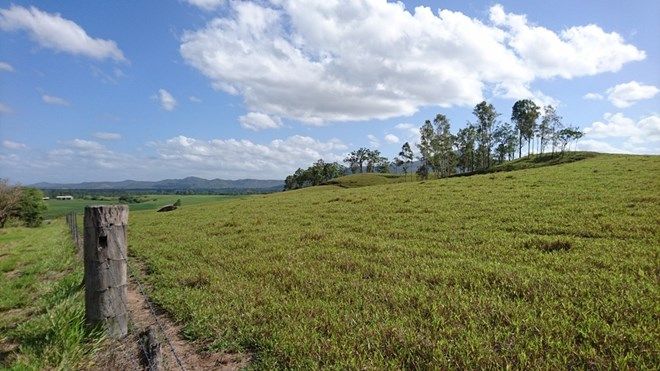 Picture of OWENS CREEK QLD 4741