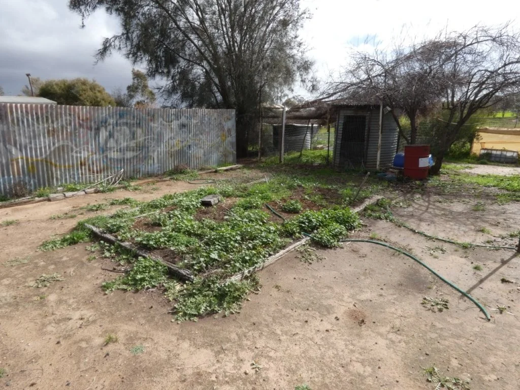 Image 10