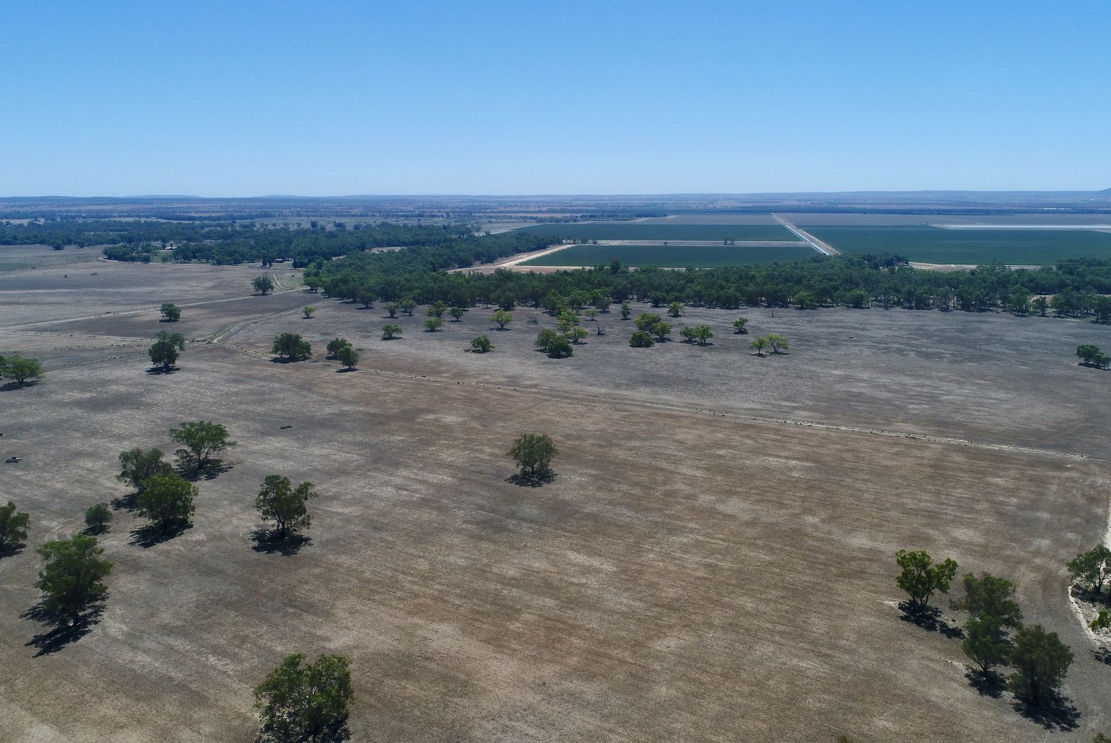 'Lemnos' 981 North Forbes Road, Condobolin NSW 2877, Image 2