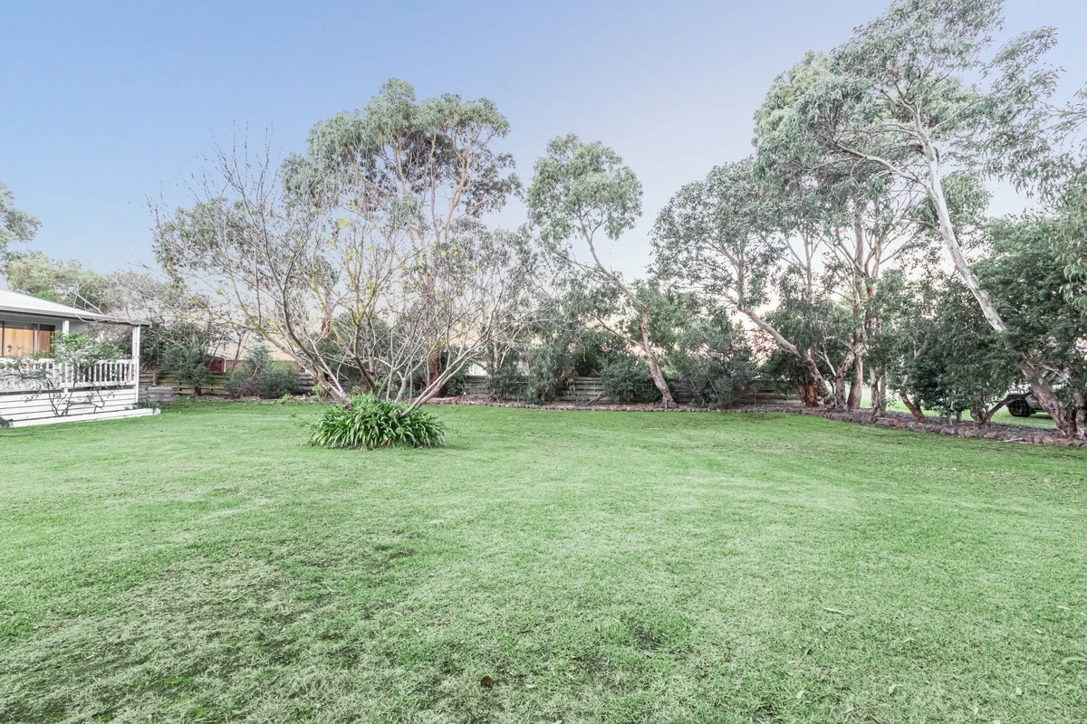 Image 15
