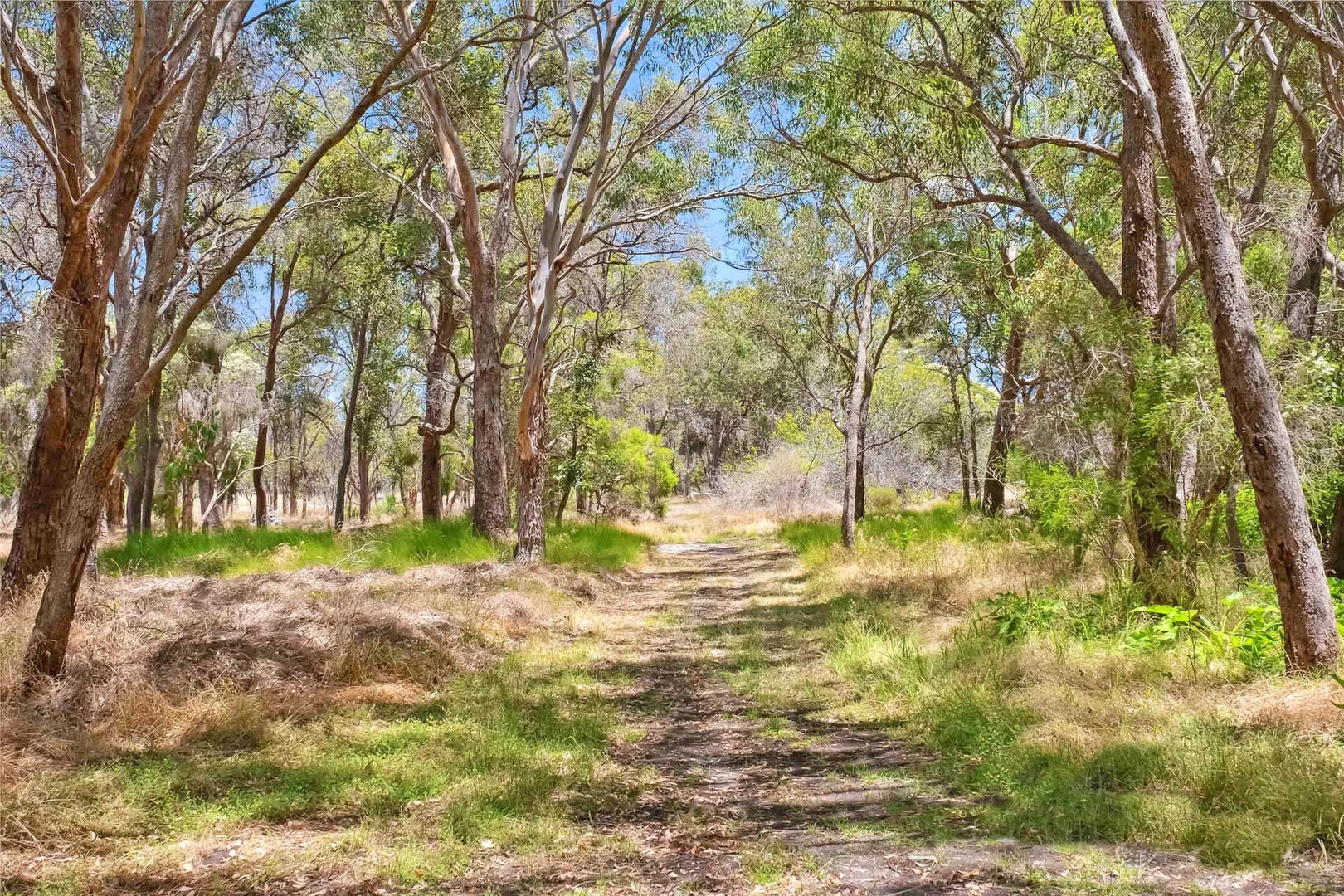 Additional image 32 of 130 Rookwood Street, Henley Brook WA 6055